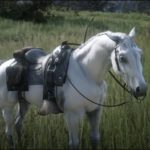 【レッドデッドリデンプション2】最速馬『白馬（アラブ）』の入手場所・入手方法【RDR2】