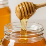 高カロリー食でも太りにくい!【どうなの会】ハチミツが血糖値コントロールを助ける?ザ・たっち双子検証