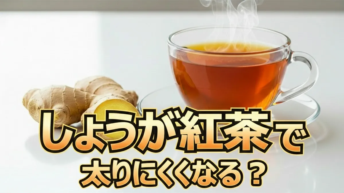 朝食をしょうが紅茶に変えるだけ！実際どうなの会でチャンカワイが証明した驚きのダイエット効果