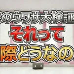 茨城・水戸の仰天グルメ「ネギ丼」を新宿で販売した結果!実際どうなの会1月14日まとめ