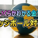 AOI(TJBB)が孤軍奮闘!ドッジボール最強王者から逃げ切れるか?残り3秒の脱落と賞金13万円