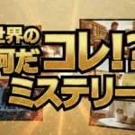 海の巨大文字「DEUE KE」の正体判明!深夜2時に勝手に回る時計の謎!何だコレ!?ミステリーで判明した真実!