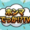 【ホンマでっかTV】花粉症には梅干しが効く！？評論家が教える最新改善法