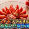 『実際どうなの会』トマトをプラスすると太らない!?ザ・たっち検証結果