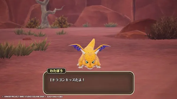 DQM4 最初のモンスタードラゴンキッズ